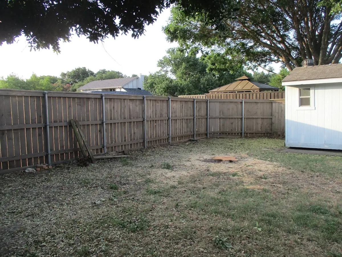Cleared yard after professional tree removal in Bradshaw